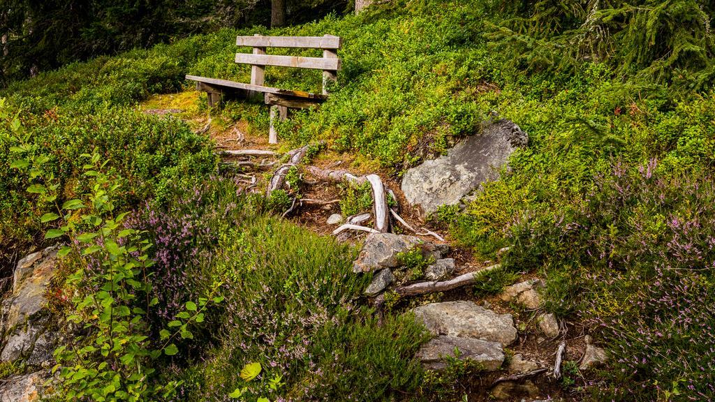 Hotel Pariente Schladming Bagian luar foto